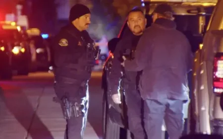 Car Rental Heiress Assaulted in Hollywood Hills Home Invasion