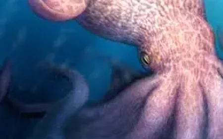 Nanaimoteuthis and the dinosaur seas as 2025 approaches