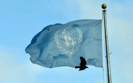 Organisation Des Nations Unies and the human cost of weakening a fragile system
