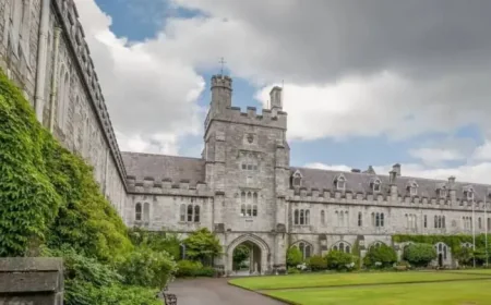 Sam O Sullivan Ucc Rugby: The abandoned playoff that exposed how fast a crisis can change everything