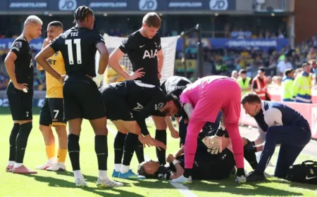 Solanke Injury: 3 key Tottenham concerns after Wolves win