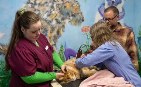 Private Equity Transforms Asheville Vet Clinics amid Practitioner Concerns