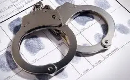 Drug Bust at Sri Lanka Airport Reveals 22 Monks and 110kg in Luggage