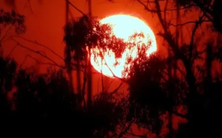 Heat Wave Pushes India’s Power Demand to a Record and Exposes the Evening Strain