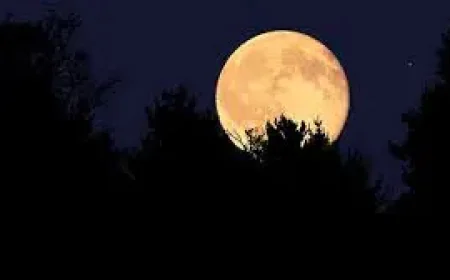 Full Moon in May Brings a Quiet Skywatching Moment for Spring