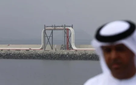 Economist Steve Hanke Explains UAE’s Exit from OPEC