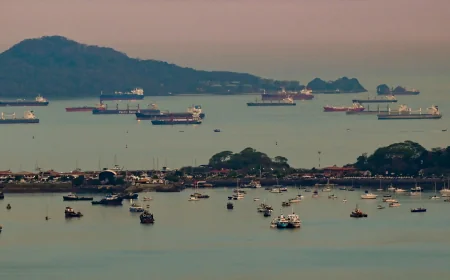 US and Latin American allies back Panama over Panama Canal terminals