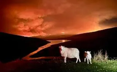 Firefighters enter fourth day battling Elan Valley wildfires
