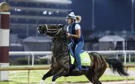 Emerging Market Holds 15-1 Derby Horses 2026 Value Play