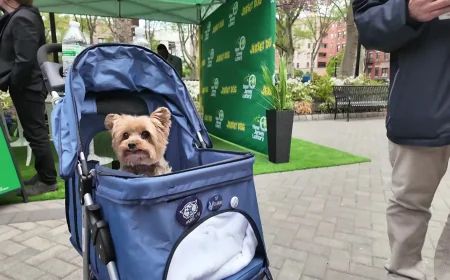 New Jersey Lottery unveils 18 dogs for Jersey Dog scratch-off