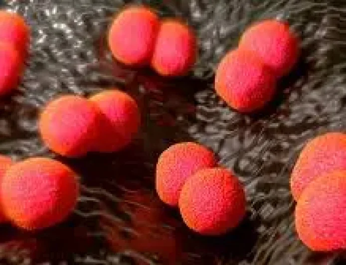 Meningococcal Disease Has Been Increasing in Manitoba, Public Health Warns