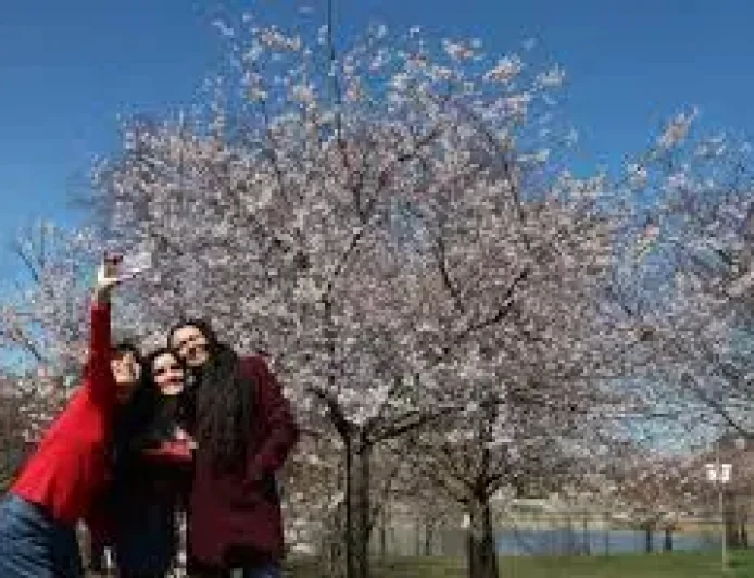 Bloom in Jackson Park as 2025 approaches