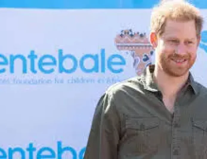 Prince Harry, Duke Of Sussex Faces Defamation Lawsuit In 3-Front Charity Fallout