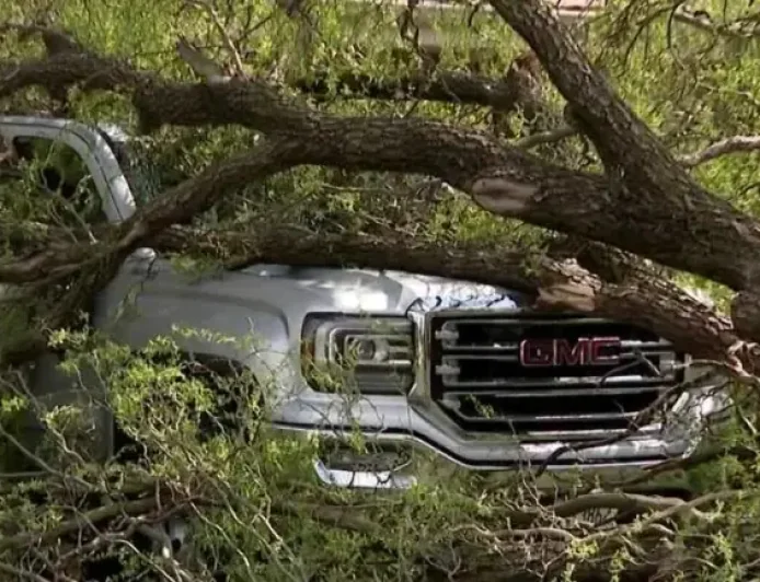 Tornado Warning Milwaukee and the night neighbors woke to falling trees