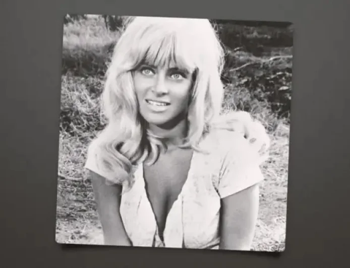 Joy Harmon dies at 87: a turning point after the role that defined her