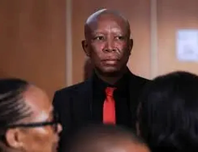 Julius Malema and the five-year sentence that turns a gun case into a test of power