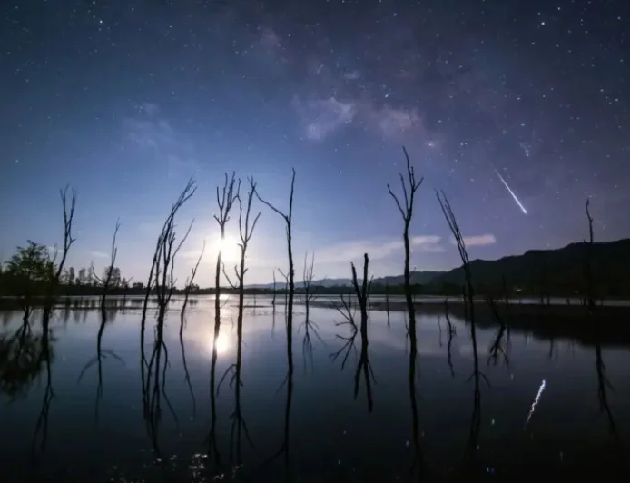 Lyrid Meteor Shower Tonight Brings a Quiet Reminder to Look Up