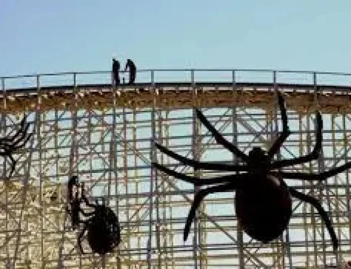 Six Flags Great America Marks 50 Years With a Season Built on Memory and Motion