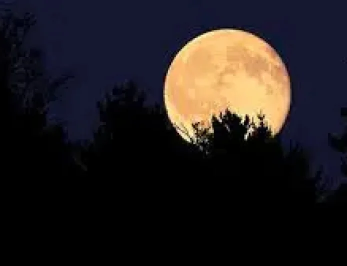 Full Moon in May Brings a Quiet Skywatching Moment for Spring