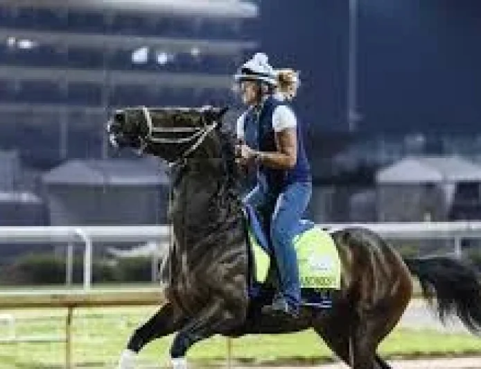 Emerging Market Holds 15-1 Derby Horses 2026 Value Play