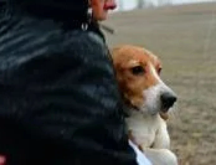 Big Dog Ranch Rescue agrees to buy 1,500 Beagle from Ridglan Farms