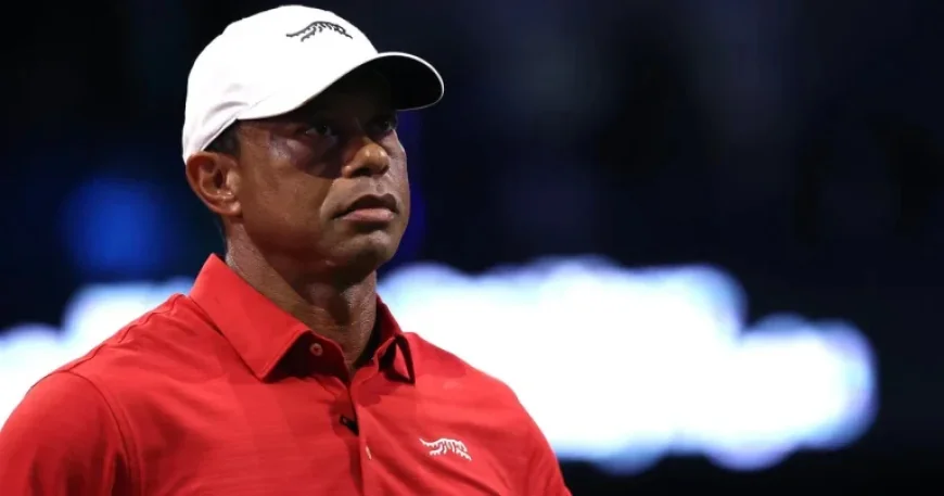 Tiger Woods Steps Away for Treatment After DUI Plea