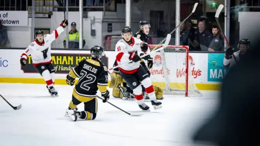 Remparts De Québec: Three Home Games, One Golden Chance as Ryabkin Will Miss Game 3