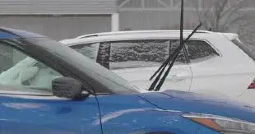 Cbc Pei: Storm Warning for New Brunswick as Tuesday Night Weather Threatens Travel