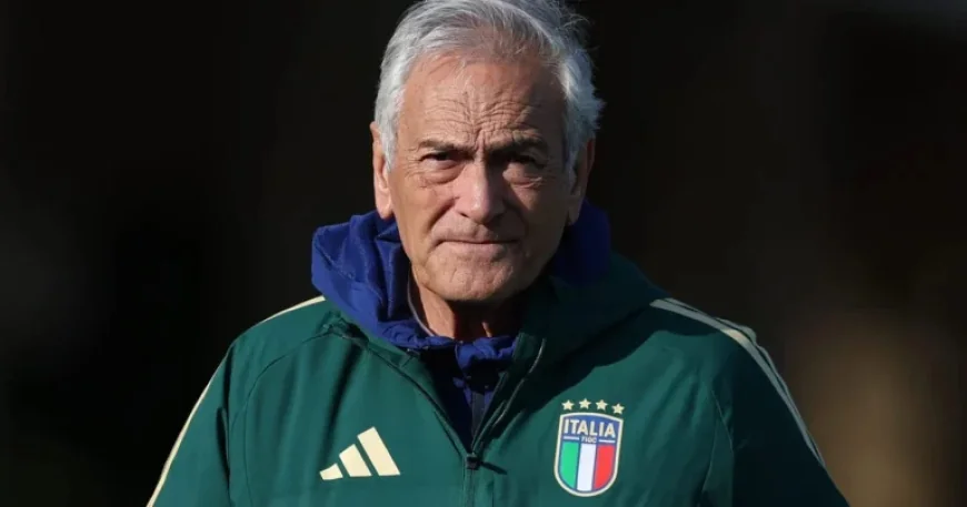 Italy Faces Political Backlash Following World Cup Debacle