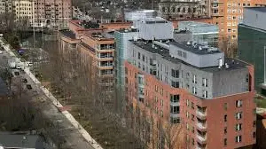 Northeastern Stabbing: Boston Police Hunt Suspect After Campus Attack Near Hastings Hall