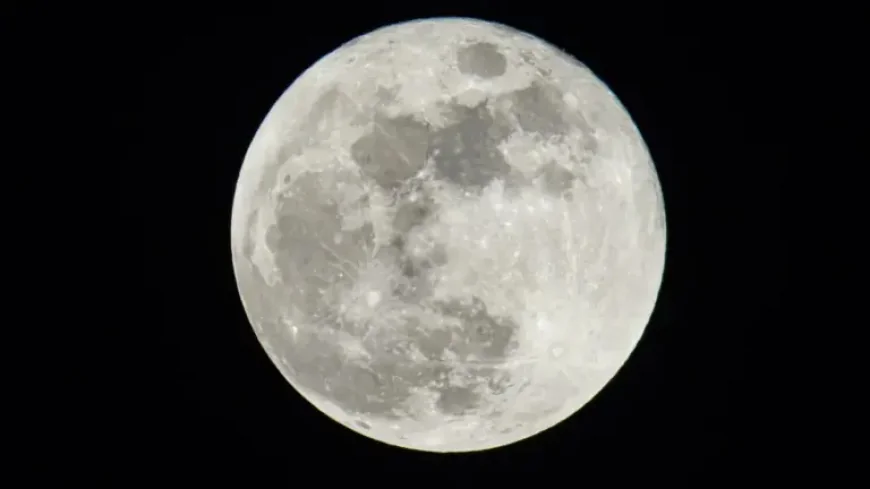 Full Moon Pink Moon: April 1 Peak at 9:11 p.m. ET and What It Actually Means