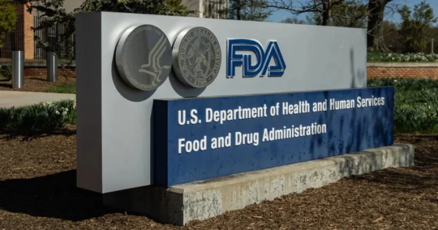 FDA Greenlights Eli Lilly’s GLP-1 Weight Loss Pill, Foundayo