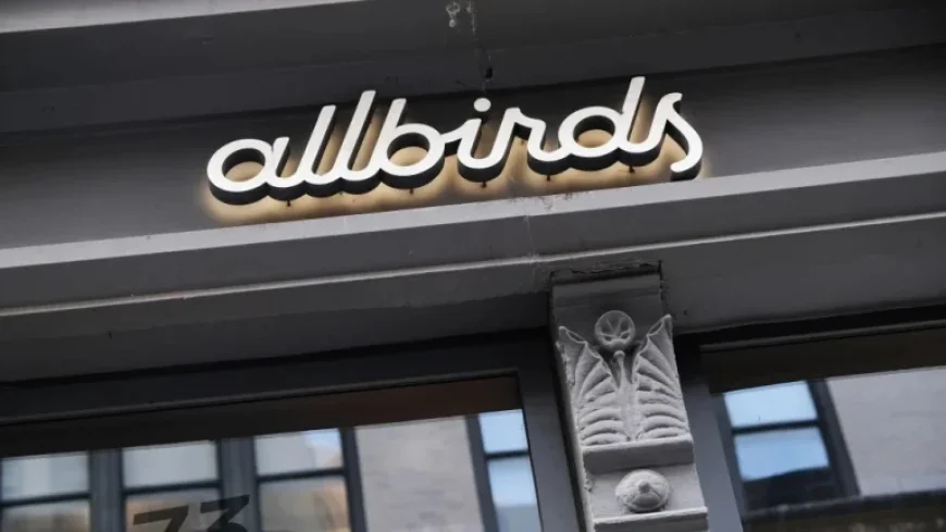 Allbirds’ Valuation Plummets from $4 Billion to $39 Million