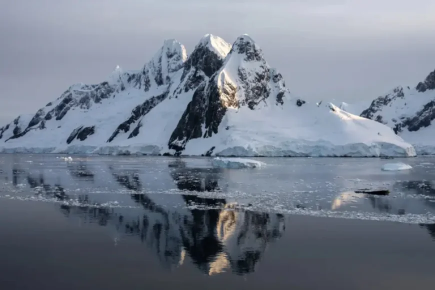 Antarctica: EU krill market on the turn as producers and retailers withdraw — first manufacturer quits