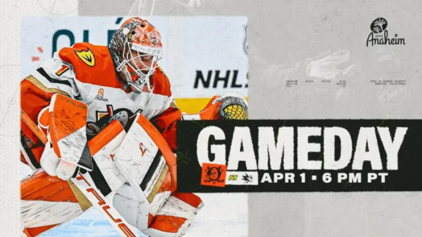 Ducks Vs Sharks: 5 pressure points shaping a critical division battle on national TV