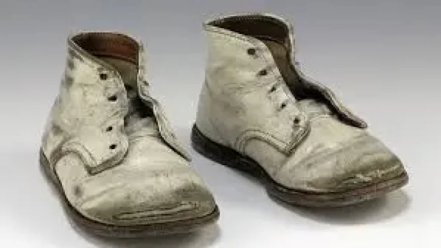 Vietnam War memories surface in two live gatherings, from UH Mānoa to the National Mall