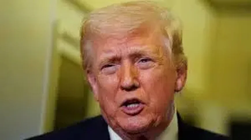 Lee Zeldin Emerges as Potential Replacement as Trump Weighs Ousting Attorney General Pam Bondi