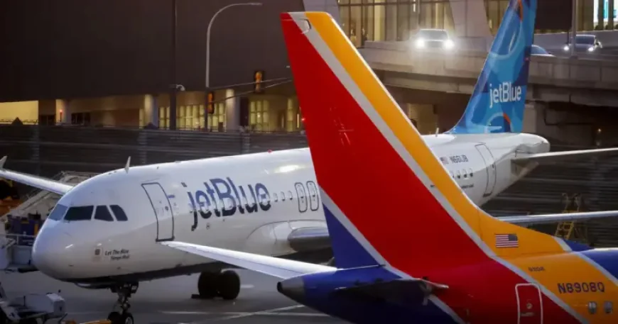 Michael O Leary: Your flight is about to get more expensive — tips to save this summer