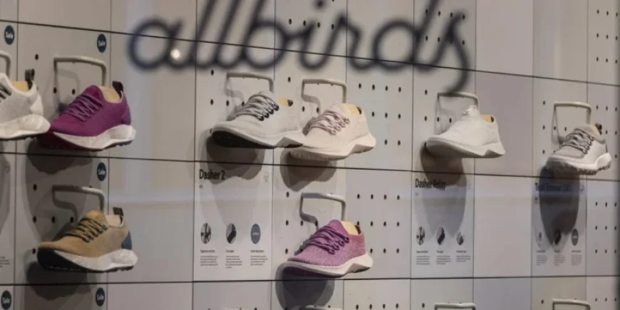 Allbirds’ Stock Plunges 99%: Key Takeaways from the $39 Million Fire Sale