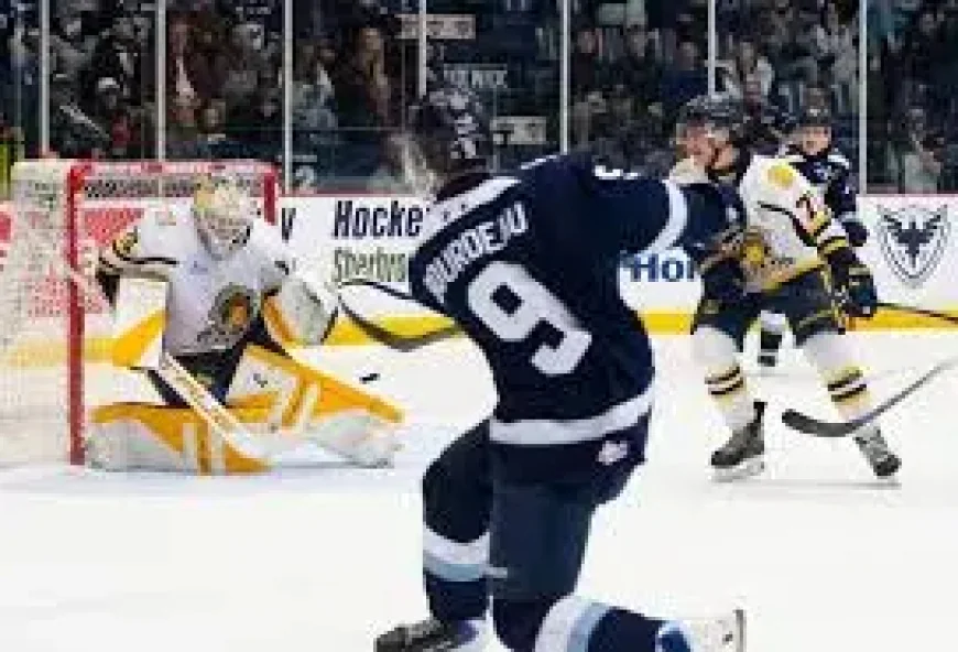 Phoenix De Sherbrooke’s Test in Shawinigan: A Late Winner, Frayed Nerves and a Roomful of Questions