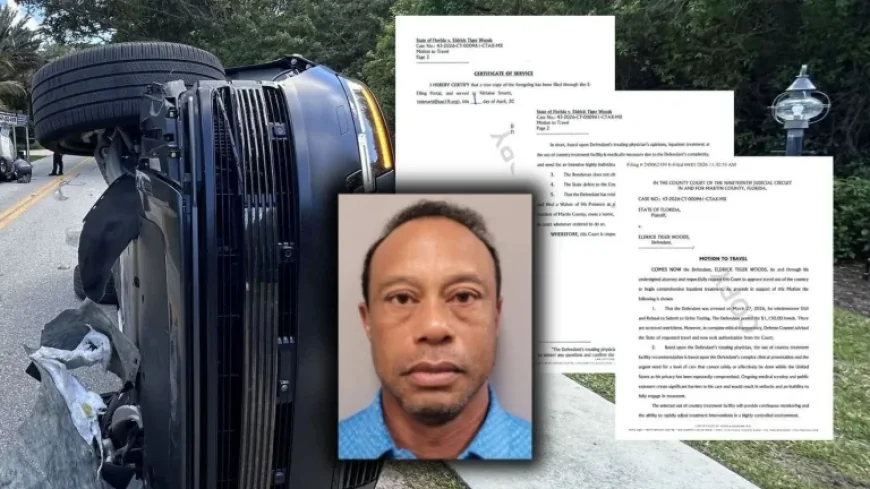 Tiger Woods Departs for Treatment After Suspected DUI Crash