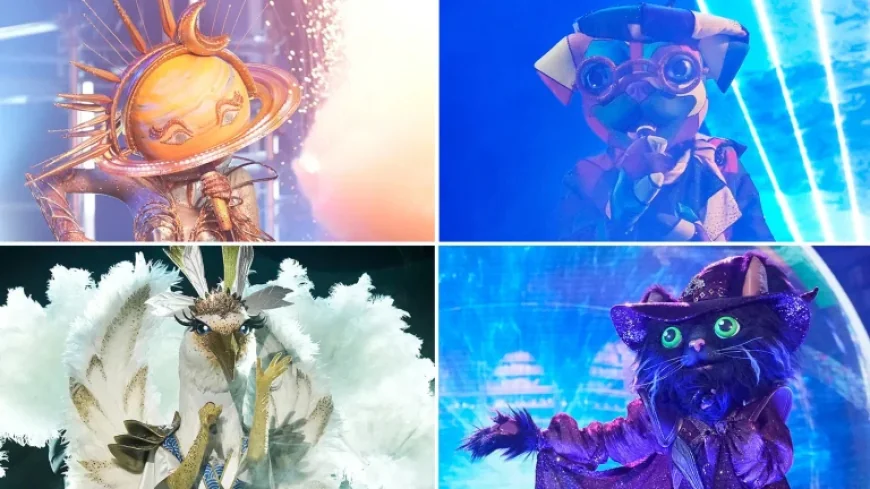 Masked Singer Season 14 Finale: Winner Announced, Full Cast Revealed