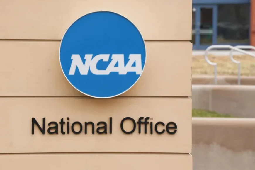 NCAA Enforces Stricter Penalties for ‘Blind Transfers’ on Coaches, Schools