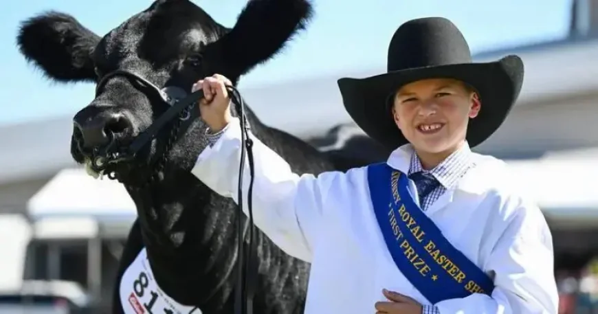 Sydney Easter Show spectacle collides with a looming fuel crunch