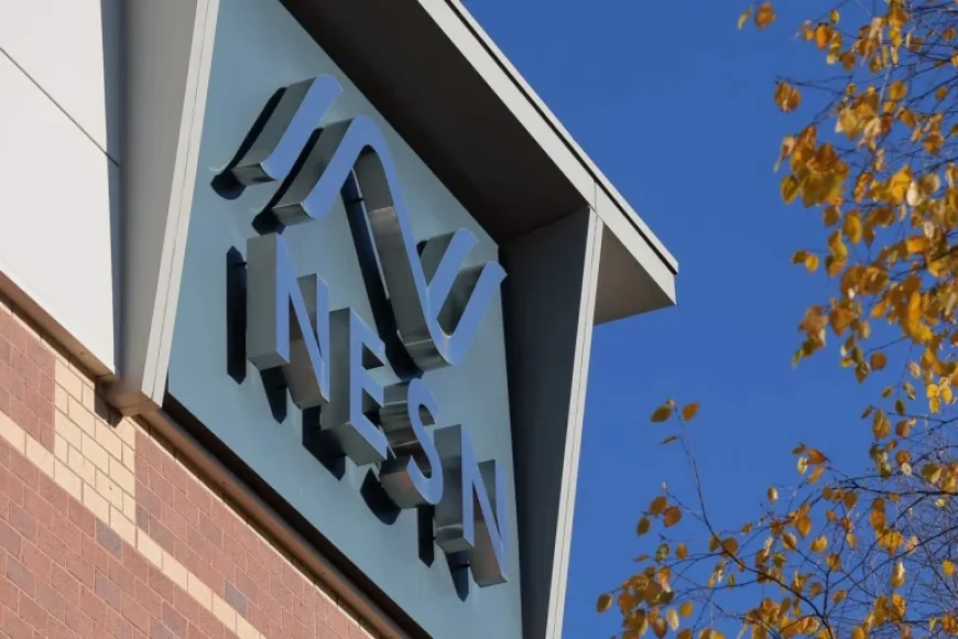 Can Regional Sports Networks Thrive? Perspectives Vary