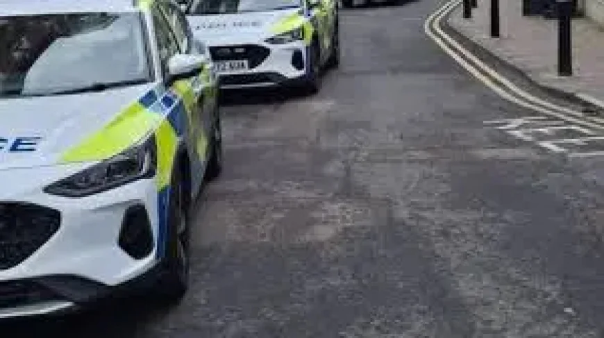 Margate Spotlight: Margo McDaid Launch and Canterbury Exhibit Point to a Local Cultural Pulse