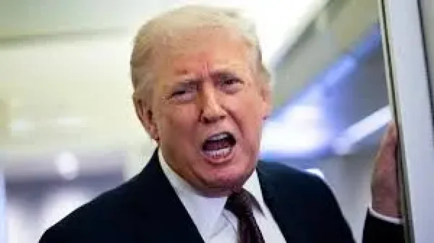 Tulsi Gabbard on the Brink as Trump Polls Advisers Over Intelligence Post