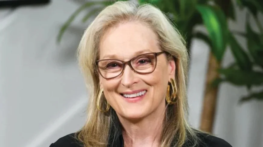 Netflix Commissions Limited Series ‘The Corrections’ Featuring Meryl Streep