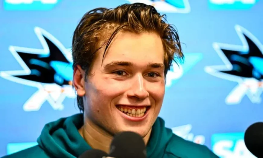 Are the Sharks a Team of Destiny?