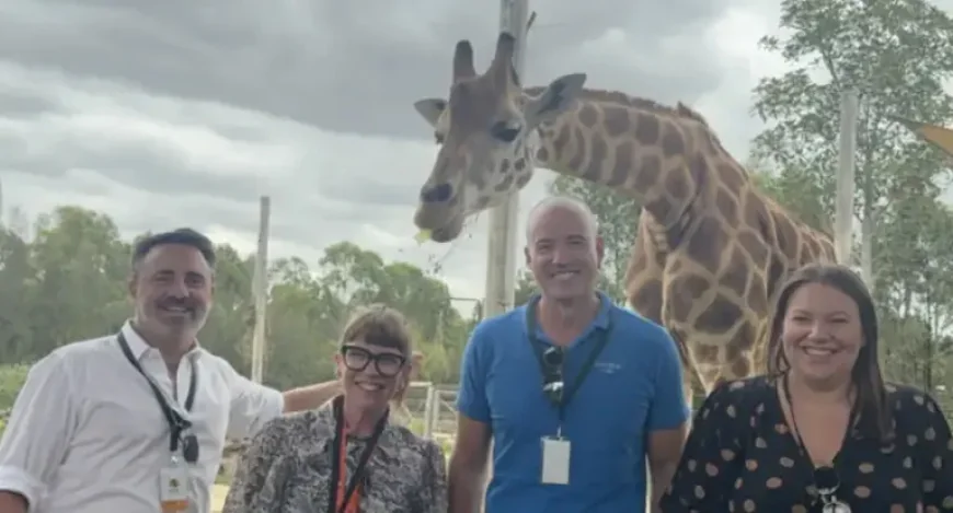 Sydney Zoo Names Sandbox Media in Competitive Win — A Dual Play for Family Audiences and Marketing Muscle